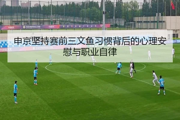 申京坚持赛前三文鱼习惯背后的心理安慰与职业自律